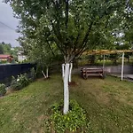 For A Large Family Villa