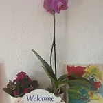 For A Large Family Villa *