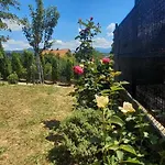 Villa For A Large Family
