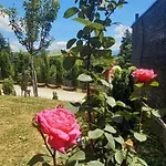 For A Large Family Villa Sarajevo