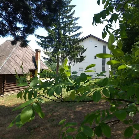 For A Large Family Willa *