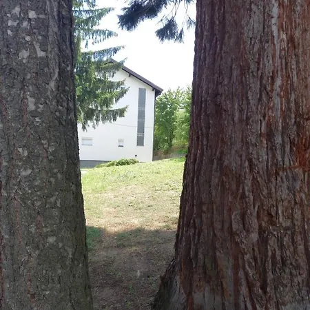 For A Large Family * Sarajewo