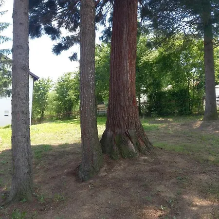 Willa For A Large Family Sarajewo