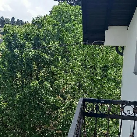 For A Large Family Willa