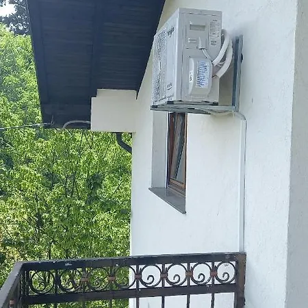 For A Large Family *