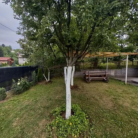 For A Large Family Willa