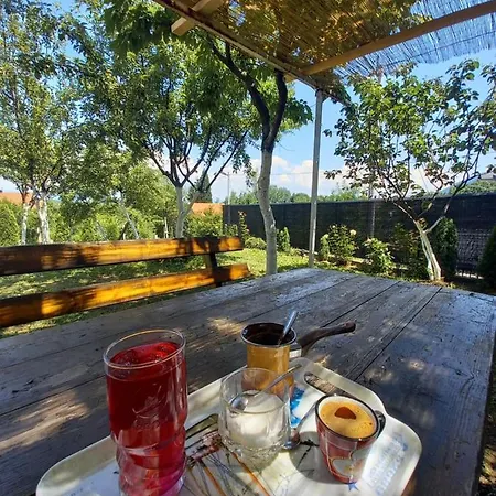 For A Large Family Villa Saraievo