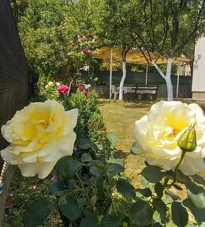 Villa For A Large Family Sarajevo