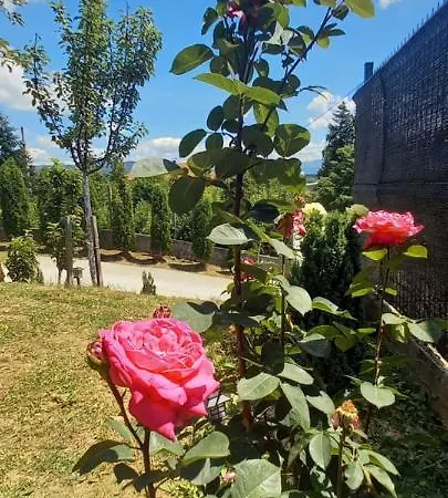 For A Large Family Willa Sarajewo