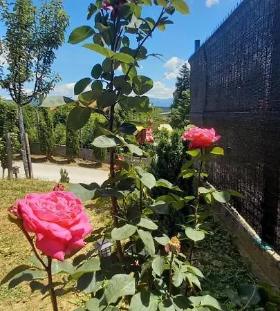 Willa For A Large Family