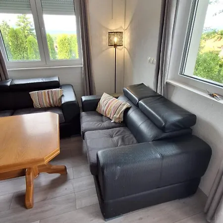 For A Large Family *